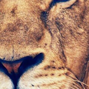 Meet your Posher, Mathias